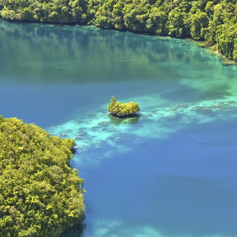Yap image